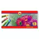 Set suvih pastela Toison D OR Koh-i-noor 12-delni (Suve)