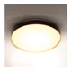 Brilagi - LED stropna svetiljka CALA LED/24W/230V