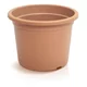 Saksija Plastica 20X15Cm Terakota