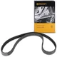 Contitech Zobati jermen CONTITECH CT 1162