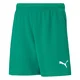 Puma Hlače zelena 164 - 169 cm/XS Teamrise
