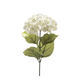 Umetno cvetje Hortenzija veja 65cm krem - krem - 50 do 75 cm