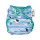 shumee Plenice za večkratno uporabo Pop-in AI2 Blue Puffin, ena velikost, 3-16 kg Zapri