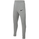 Nike Park 20 Fleece Jr Pants Siva