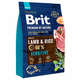 Brit PN Dog Sensitive jagnjetina 3 kg