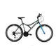 Capriolo DIAVOLO MTB 600, dječji bicikl, siva 920321