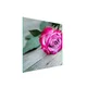 shumee STEKLENA ZAŠČITNA PLOŠČA ZA ŠTEDILNIK 50x52 ROSE