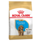 Royal Canin Breed Nutrition Koker Puppy, 3 kg