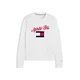 TOMMY HILFIGER Pulover marine/rdeča/bela