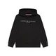 Tommy Hilfiger Jopa Essential Hoody KS0KS00213 Črna Regular Fit