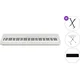 Roland FP-40 White Basic SET Digitalni stage piano White