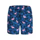 JACK & JONES Kratke kopalne hlače JPSTMAUI  mornarska / kraljevo modra / roza