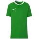 NIKE Funkcionalna majica zelena / bela