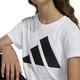 ADIDAS SPORTSWEAR Funkcionalna majica BL 160 črna / bela