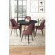 Hanah Home Set Trpezarijski sto i 4 stolice, Prljavo roze