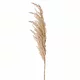 Veštačka grana cveća Pampas, 100cm, Beli