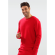 Moški pulover DKaren DKaren_Sweatshirt_Justin_Red