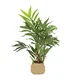 MID.YOU Umetna Rastlina Chamaedorea