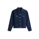 Tommy Jeans Prehodna jakna RYAN temno modra