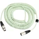 Revoltage MCCG10 Green 10 m Mikrofonski kabel
