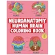Neuroanatomy Human Brain Coloring Book