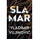 Slamar - Vladimir Vujinović