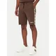Guess Športne kratke hlače Z4RD04 KB3P2 Temno rjava Regular Fit