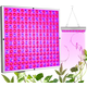 225 LED UV panel za rast rastlin 36W