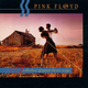 Pink Floyd A Collection Of Great Dance Songs