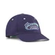 PUMA Comic Baseball Cap Youth, Kids, Deep Plum, YOUTH