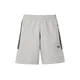 ADIDAS ORIGINALS Hlače Spacer Teamgeist 26 pegasto siva/črna