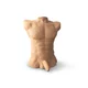 SILEXD Muški torzo sa dildom Apollo L Male Torso Flesh