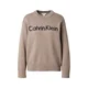 Calvin Klein Jeans Pulover  svetlo rjava / črna
