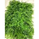 Zeleni zid 3d park 40x60 cm ( bolzzidpark )