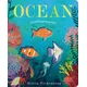 Ocean: A Peek-Through Board Book