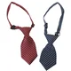 Camon kravata za pse Stripes - 15x5 cm