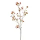 Dafne veja old pink 105 cm - roza - 101 do 150 cm