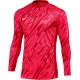 Dres z dogimi rokavi Nike M NK DF GARDIEN V GK JSY S
