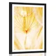 Plakat s paspartujem regratova lučka v rumeni varianti - 40x60 black