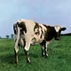Pink Floyd - Atom Heart Mother (180 g) (LP)