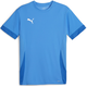 Dres Puma teamGOAL Matchday Jersey