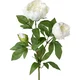 Veštačka Biljka 70cm Peonienzweig Iv