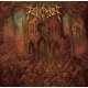 Revocation - Netherheaven (Black Vinyl) (LP)