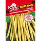Seme Nizek fižol Berggold, 60g, Royal Seeds