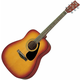 Yamaha Akustična gitara - F310
