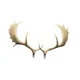 SRT 3D TARČA ŽIVALI rezervni rogovi - FALLOW DEER