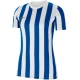 Jersey Nike Dri-FIT Division 4