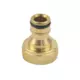 Adapter z notranjim navojem 3/4 iz medenine, ENPRO