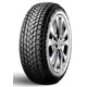 GT Radial Champiro Winterpro 2 ( 205/60 R16 96H XL )