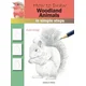 Rayher. Knjiga How to Draw: Woodland Animals